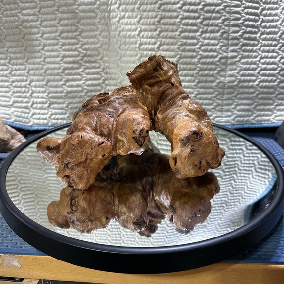 Burled Red Oak “Grow-Over” with Fungal Spalting Wood Sculpture One of a Kind - Picture 3 of 5